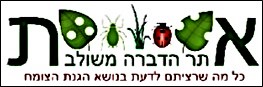logo "Atar hadbara meshulevet"